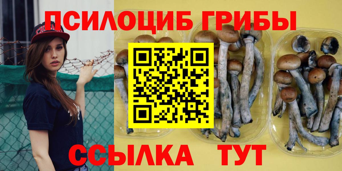 Галлюциногенные грибы MAGIC MUSHROOMS  Вход с VPN  Мирный 