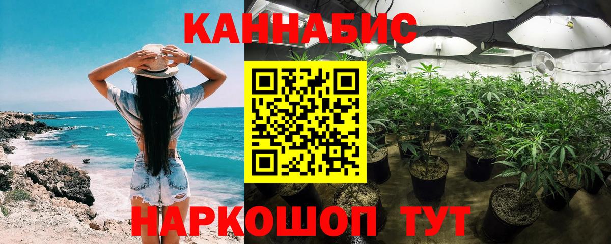 Конопля сатива  Марихуана сатива  Марихуана AK-47  Марихуана Bruce Banner  Мирный  Вход с VPN 